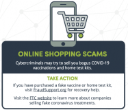 Online Shopping Scams
